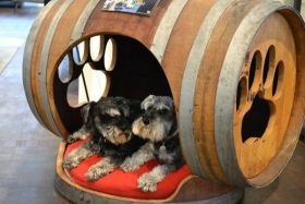 dog crate made from a barrel – Best Places In The World To Retire – International Living
